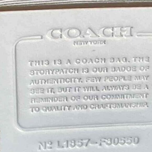 Coach Designer Charlie Medium Backpack in Light Blue Pebble Leather Shoulder Bag main image 6